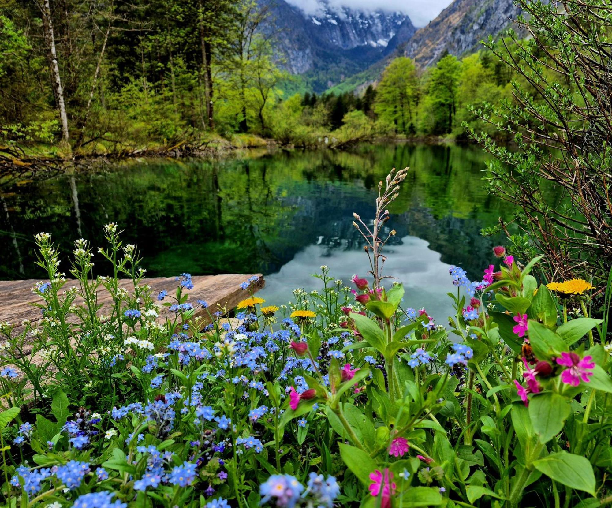 Ferienlounge Bluntausee Golling an der Salzach Buitenkant foto